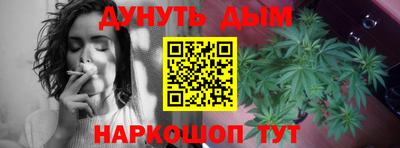 трава Будённовск