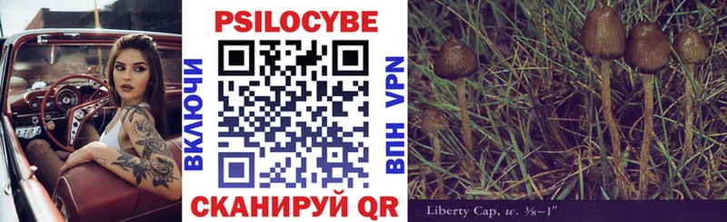 даркнет сайт Новочебоксарск Галлюциногенные грибы Cubensis