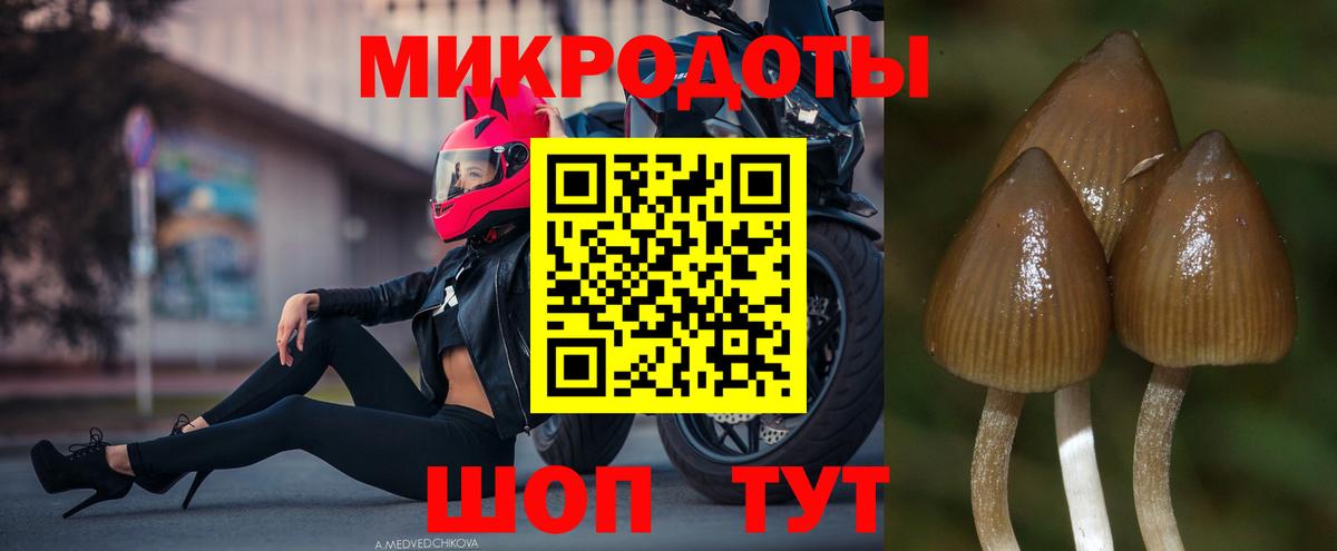 Псилоцибиновые грибы GOLDEN TEACHER Новочебоксарск